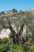 Location saisonnière maison de village Eygalières  