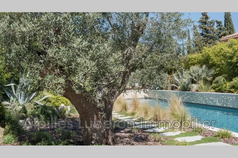 Location saisonnière maison de village Eygalières  
