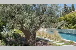Location saisonnière maison de village Eygalières  