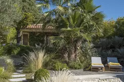 Location saisonnière maison de village Eygalières  