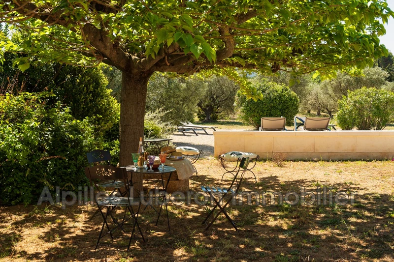 Location saisonnière mas Eygalières  