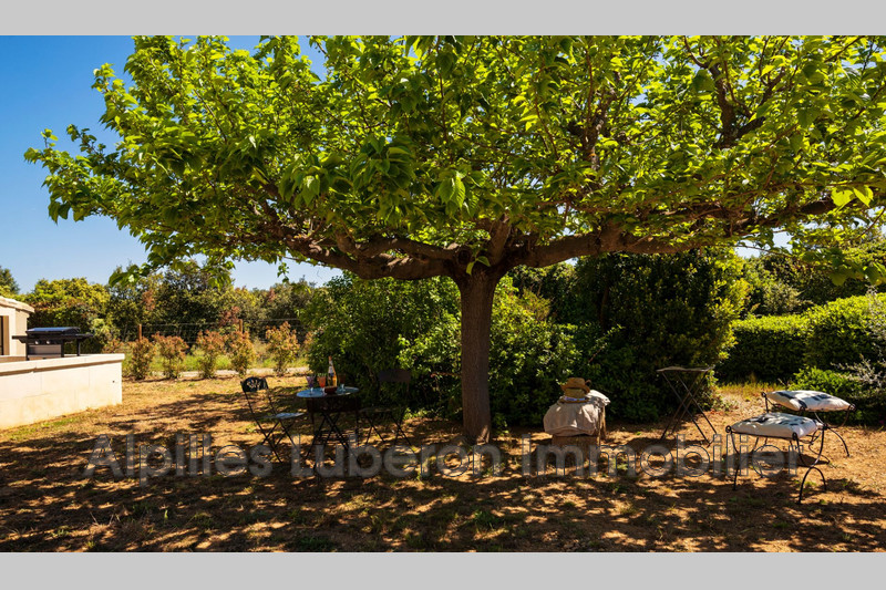 Location saisonnière mas Eygalières  