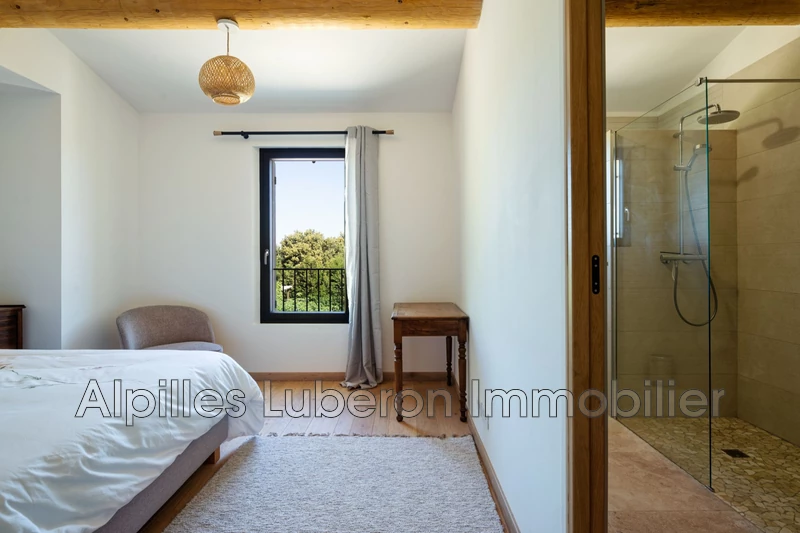 Location saisonnière mas Eygalières  