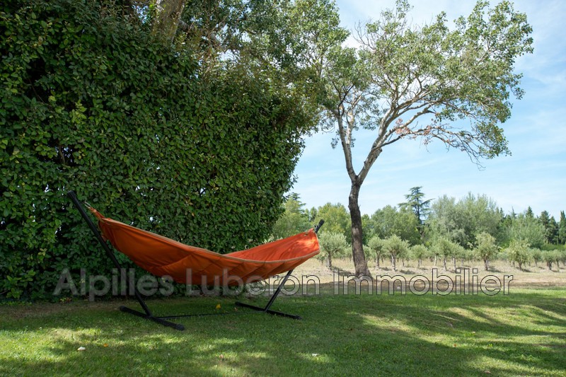 Location saisonnière mas Saint-Andiol  