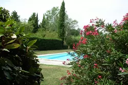 Location saisonnière mas Eygalières  