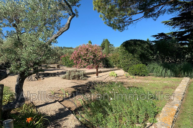 Location saisonnière mas Eygalières  