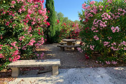 Location saisonnière mas Eygalières  