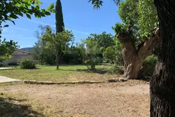 Location saisonnière mas Saint-Rémy-de-Provence  