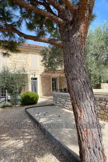 Location saisonnière mas Orgon  