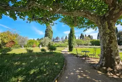 Location saisonnière mas Eygalières  