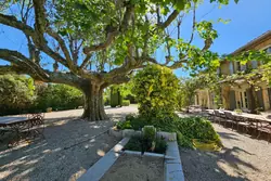 Location saisonnière mas Eygalières  