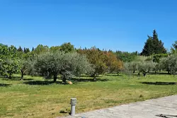 Location saisonnière mas Eygalières  