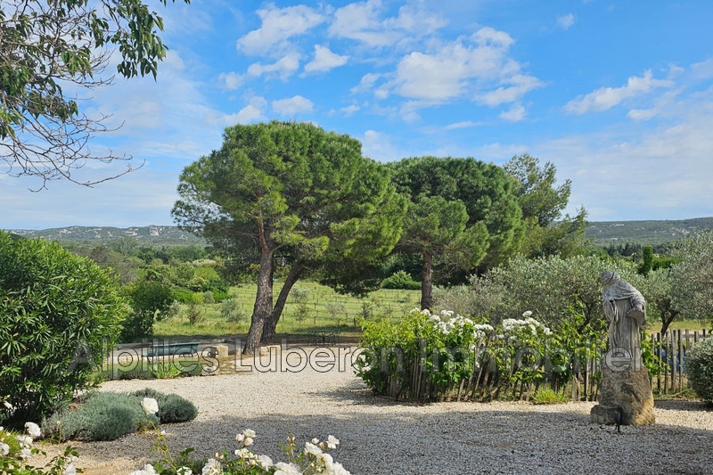 Location saisonnière mas Eygalières  