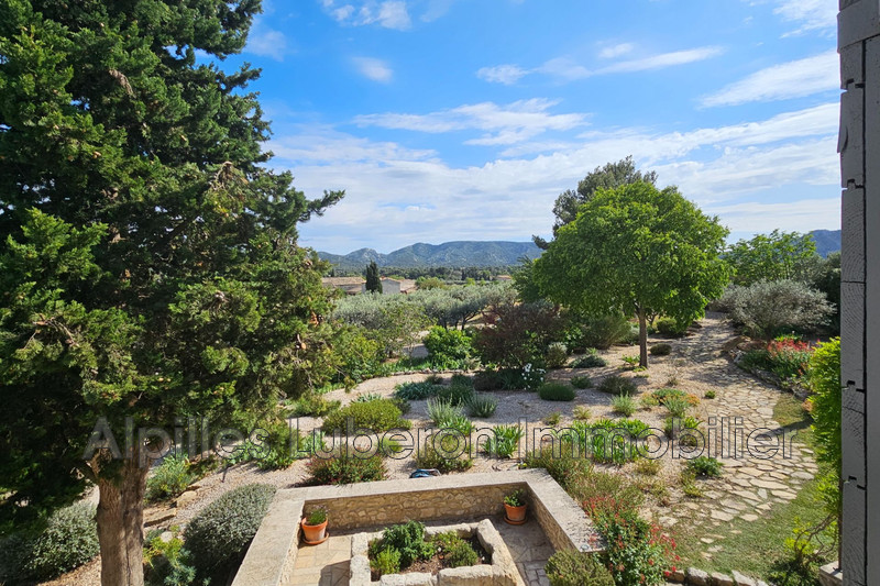 Location saisonnière mas Eygalières  
