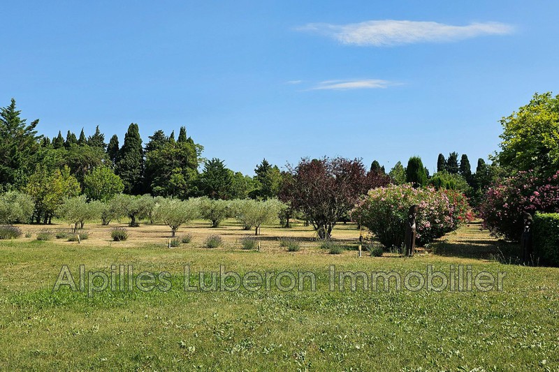 Location saisonnière mas Eygalières  