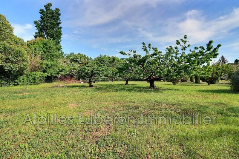 Location saisonnière mas Eygalières  