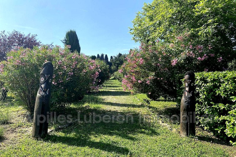 Location saisonnière mas Eygalières  