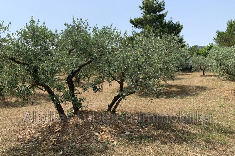 Location saisonnière villa provençale Eygalières  