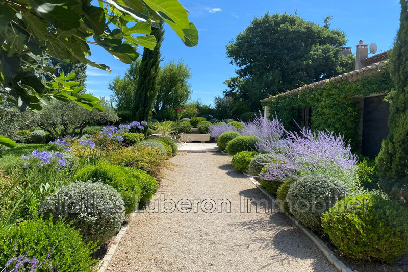 Location saisonnière mas Eygalières  