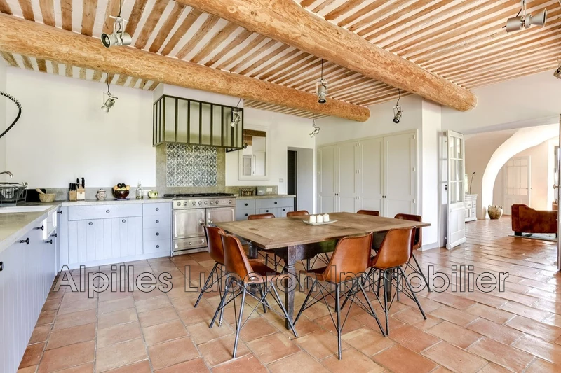 Location saisonnière mas Eygalières  