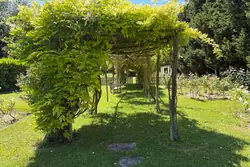 Location saisonnière mas Eygalières  