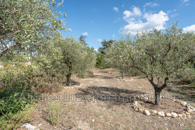 Location saisonnière villa provençale Eygalières  