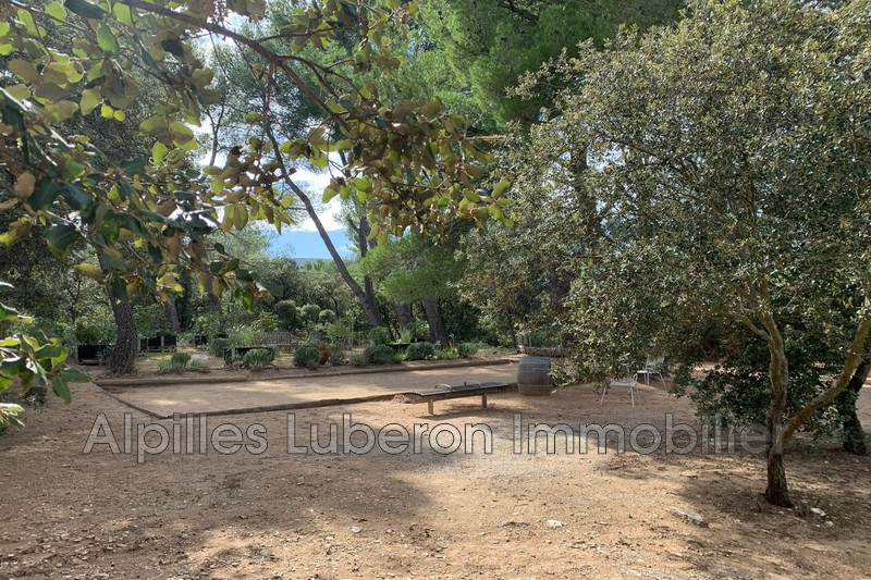 Location saisonnière maison Eygalières  