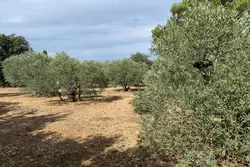 Location saisonnière maison Eygalières  