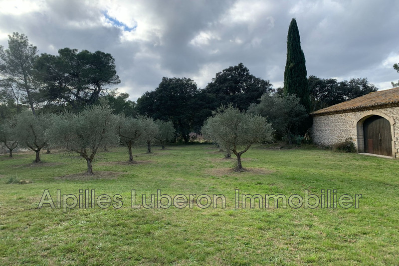 Location maison Eygalières  