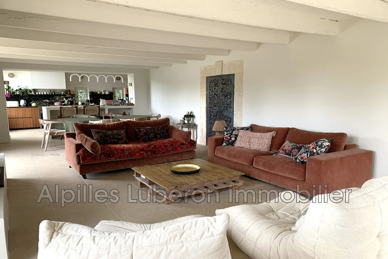Location saisonnière mas Mollégès  