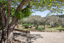 Location saisonnière villa provençale Saint-Rémy-de-Provence  