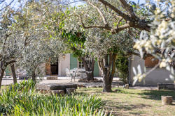 Location saisonnière villa provençale Saint-Rémy-de-Provence  