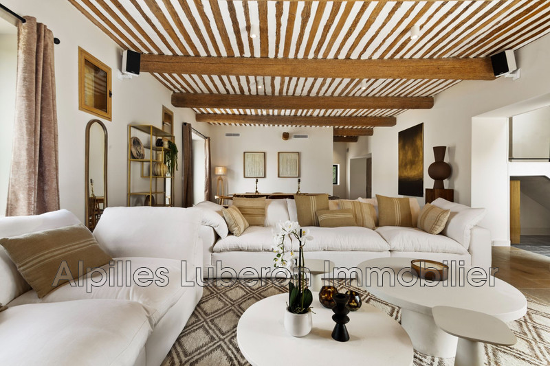 Location saisonnière mas Paradou  