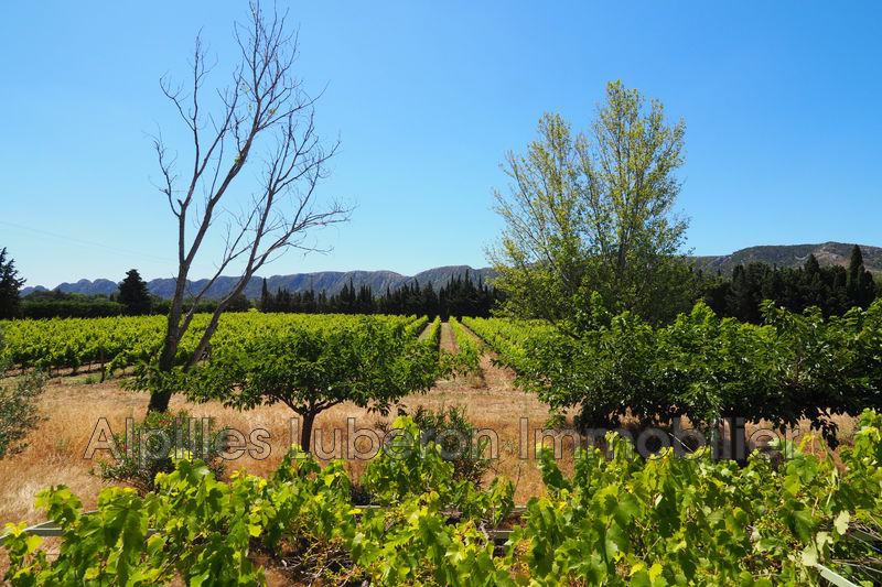 Photo House Saint-Rémy-de-Provence A 5 minutes du centre-ville, to buy house 3 bedroom 123 m²