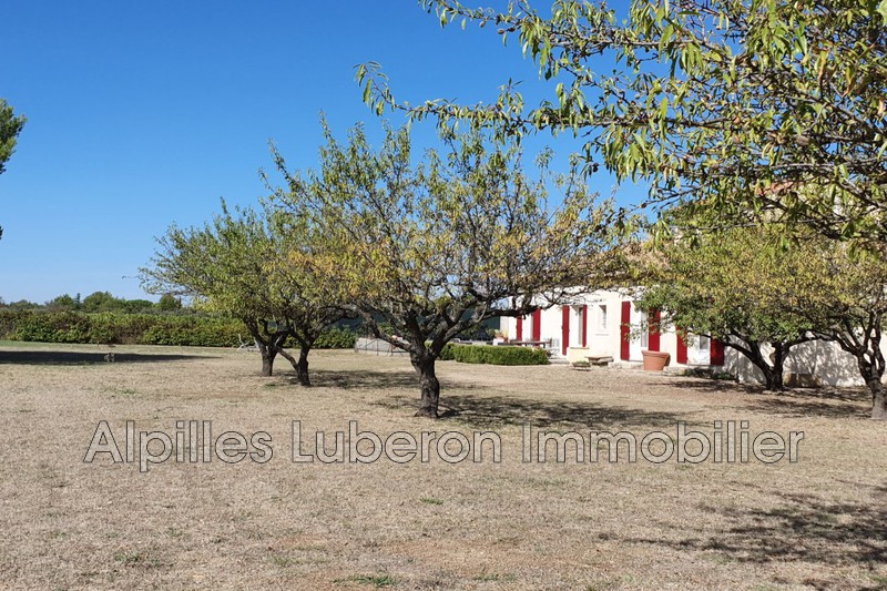 Photo Villa Eygalières Campagne, to buy villa 5 bedroom 167 m²