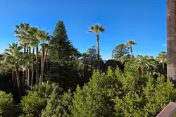 Vente appartement Cannes  