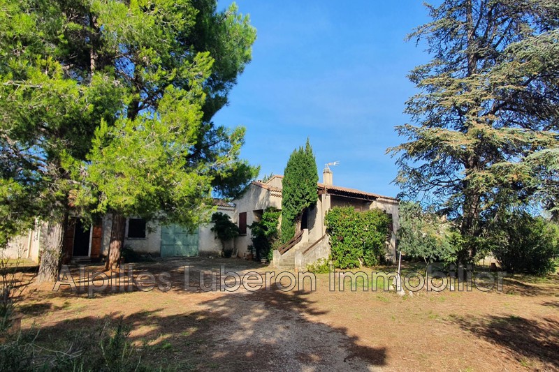 Photo Maison de campagne Maussane-les-Alpilles Campagne, achat maison de campagne 4 chambres 145 m²