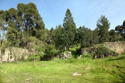 Vente maison en pierre Saint-Rémy-de-Provence  