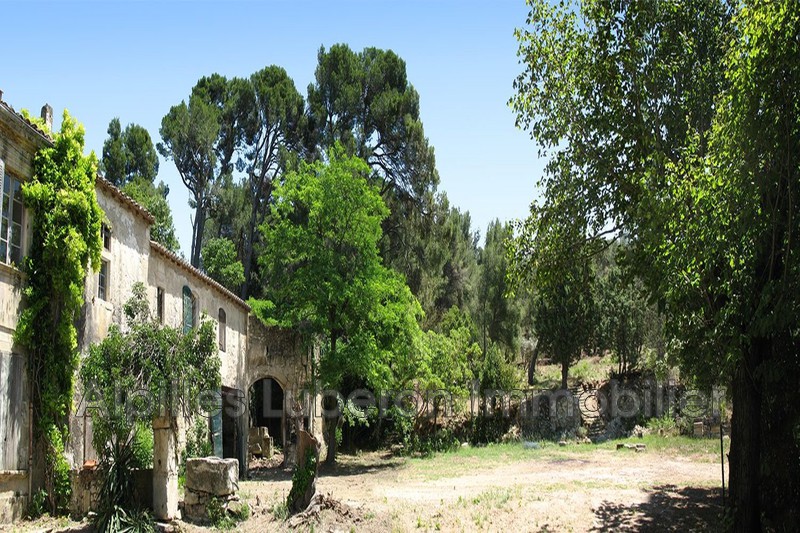 Maison en pierre Saint-Rémy-de-Provence Alpilles,   achat maison en pierre  10 pièces   630&nbsp;m&sup2;