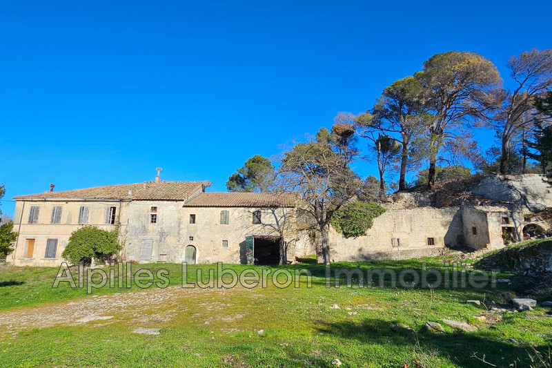 Vente maison en pierre Saint-Rémy-de-Provence  