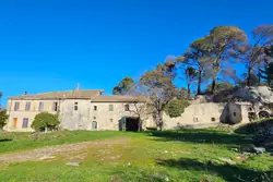 Vente maison en pierre Saint-Rémy-de-Provence  