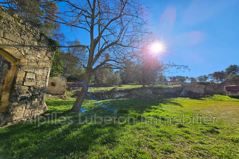 Vente maison en pierre Saint-Rémy-de-Provence  