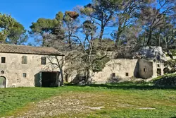 Vente maison en pierre Saint-Rémy-de-Provence  