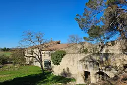 Vente maison en pierre Saint-Rémy-de-Provence  