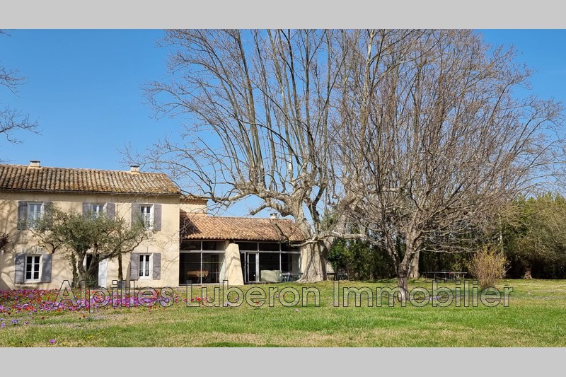 Photo Mas Eygalières Campagne, achat mas 3 chambres 250 m²