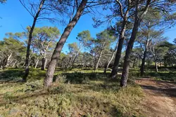 Vente terrain Orgon  