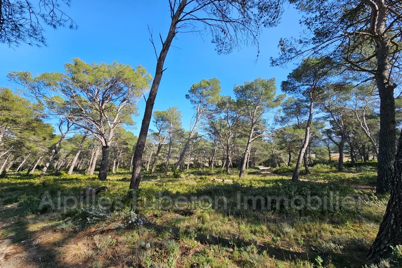 Vente terrain Orgon  