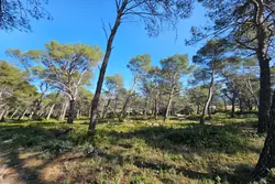 Vente terrain Orgon  