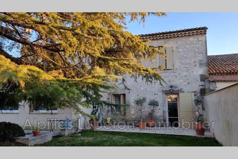 Photo Mas Saint-Rémy-de-Provence Centre-ville, achat mas 11 chambres 530 m²