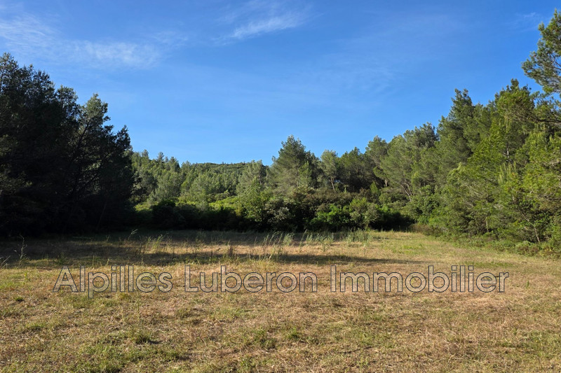Vente terrain Eygalières  
